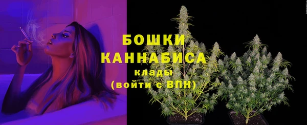 PSILOCYBIN Гусь-Хрустальный