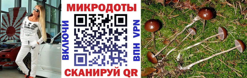 купить наркотики цена  Нальчик  omg зеркало  Галлюциногенные грибы ЛСД 